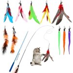 Jouet � plumes - yolistar - 12 pcs - multicolore - mousse - interactif pour chats