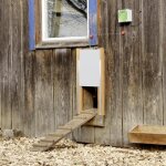 Kerbl ensemble de porte automatique de poulailler 300x400 mm 70546