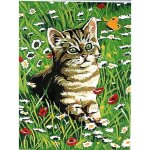 Kit canevas chat chaton dans les fleurs d�t� 14 x 18 cm
