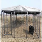 Kit chenil large avec toit 240m x 4m x 180m