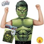 Dguisement - avengers - hulk - 3 - 6 ans - tee - shirt et masque - vert - intrieur