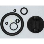 Kit de joints pour pulvérisateurs - ribimex Kit de joints pour pulvérisateurs - ribimex