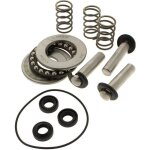 Kit pistons + joints + roulements - nettoyeur haute pression mac allister - moteurs