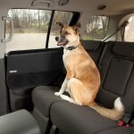 Kurgo protection de porte intérieure de voiture pour chien imperméable et anti - déchirure taille ajustable ... Kurgo protection de porte intérieure de voiture pour chien imperméable et anti - déchirure taille ajustable ...