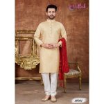 Kurta tunique indiens homme kurti beige aktar dguisement bollywood mariage soire