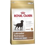 Labrador retriever 30 sterilised - royal canin