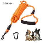 Laisse chien 5m laisses de dressage pour chiens avec poigne rembourre douce pour petits  grands chiens ...
