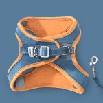 Laisse de harnais pour animaux de compagnie - omabeta - vert - petit - chat