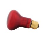 Lampe chauffante infrarouge e27 reptile pet infrarouge chauffage lampe ampoule metteur lampe nuit animalerie ...