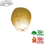 Lanterne cleste ballon - blanc blanc