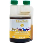 Lbm solution - incontinence des chiens 250 ml - hilton herbs