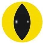 Lentilles de contact chat jaune horreur