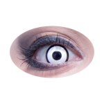 Lentilles journalires fantaisie adulte