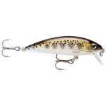Leurre coulant rapala x - rap countdown - 7cm