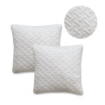 Lot de 2 oreillers � m�moire de forme 60x60 cm