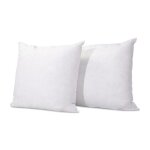 Lot de 2 oreillers natura 65x65 cm duvet & plumess