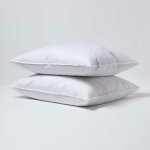 Lot de 2 oreillers en plumes et duvet doie - homescapes - oreiller rectangulaire 60x70 cm