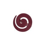 Lot de 2 pinces  rideaux