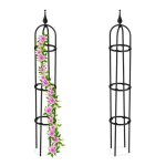 Relaxdays trellis ob�lisque lot de 2 100 m de hauteur plantes grimpantes en m�tal stable tour pour rosier ...