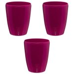 Gt garden - lot de 3 pots pour orchid�es avec r�serve deau - orchidea pourpre 2 litres