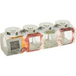 Bocaux à Épices - paris prix - 200ml - verre transparent - couvercle argenté - lot de 4 Bocaux à Épices - paris prix - 200ml - verre transparent - couvercle argenté - lot de 4