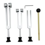 Lot de 4 diapasons (128 hz 256 hz 512 hz) avec marteau  pour outil de vibration sonore avec base argent ...