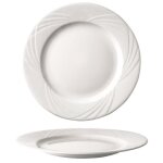 Lot de 6 assiettes plates presentation europa porcelaine �310 mm