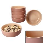 Bol  crales - ritzenhoff & breker - jasper - set de 6 -  145 cm - faence - rose