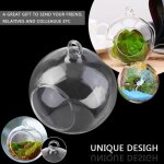 Lot de 6 vase suspendu de verre boule pour fleur dcoration pots  suspendre air plante terrariums de ...