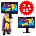 Lot dual screen 2 ecrans pc pro 22 nec e222w - bk tft tn vga dvi display vesa