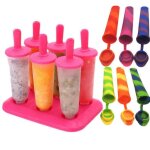 Lot ustensiles alimentaire cuisine diy rutilisable glace fait maison 6 moules  glace 6 popsicle en ...