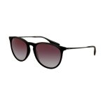 Lunettes de soleil - ray - ban - erika rb 4171 - noir - monture mtal et rsine - protection catgorie ...