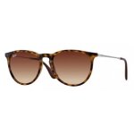 Lunettes de soleil - ray - ban - erika rb4171 - caille - verres dgrads - monture cercle