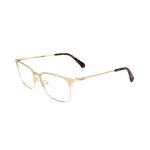 Lunettes de vue polaroid pld d441 54 / 17 / 145 gold stainless steel man pld d441
