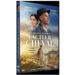M6 vido lincroyable histoire du facteur cheval dvd - 3475001057433