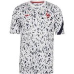 Maillot dentrainement officiel homme nike equipe de france de football blanc euro 2020 Maillot dentrainement officiel homme nike equipe de france de football blanc euro 2020