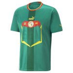 Maillot de football puma fsf away jersey