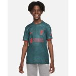 Maillot third enfant - nike - liverpool fc 2022 / 23 - vert - manches courtes - respirant Maillot third enfant - nike - liverpool fc 2022 / 23 - vert - manches courtes - respirant