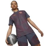 Maillot training manchester city 2023 / 24 - strong gray / rouge brique - s