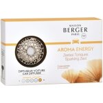 Diffuseur de parfum pour voiture - maison berger - 6402 - aroma energy - argent� - asym�trique