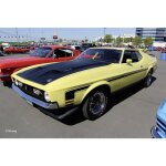 Maquette de voiture - revell - 71 mustang boss 351 - blanc - adulte - 15 ans