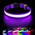 Masbrill collier lumineux chien rechargeable etanche fluorescent collier led chien r�glable pour petits ...