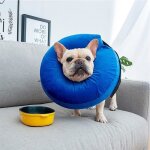 Meidong collier conique gonflable pour chien et chat collier animal souple et gonflable apr�s protection ...