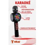 Micro enceinte karaoké - tokaï - noir - enregistrement - changement de voix - lumières led Micro enceinte karaoké - tokaï - noir - enregistrement - changement de voix - lumières led