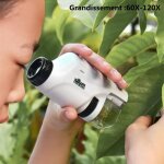 Microscope de poche avec fonction clairage par led, 60 - 120x (mm - 300)