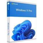 Microsoft windows 11 professionnel (pro) - 64 bits - cl� licence � t�l�charger