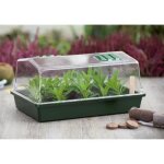 Mini - serre rigide - nature - couvercle ventilé - h18x37x24 cm - vert Mini - serre rigide - nature - couvercle ventilé - h18x37x24 cm - vert
