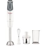 Mixeur plongeant - moulinex - dd642110 - 800w - 10 vitesses - pied mtal amovible