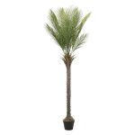 Ml - design palmier artificiel 180cm plante artificielle grande fake plant deko arbre en plastique en ... Ml - design palmier artificiel 180cm plante artificielle grande fake plant deko arbre en plastique en ...