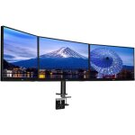 Montage de bureau pour moniteur - iiyama - 3 �crans - 686 cm - 30 kg max - noir